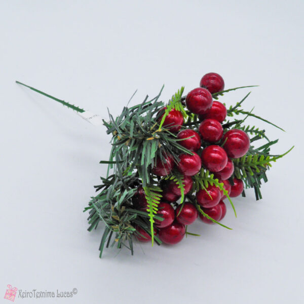 Χριστουγεννιάτικο κλαδί με κόκκινους καρπούς
