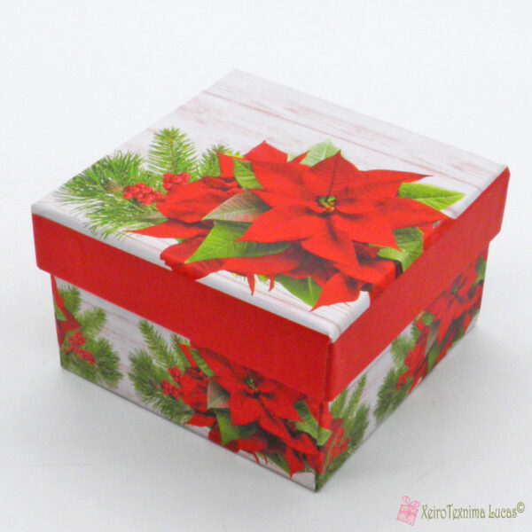 χάρτινο χριστουγεννιάτικο κουτί με κόκκινα αλεξανδρινά