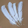 Άσπρο διακοσμητικό φτερό 20cm